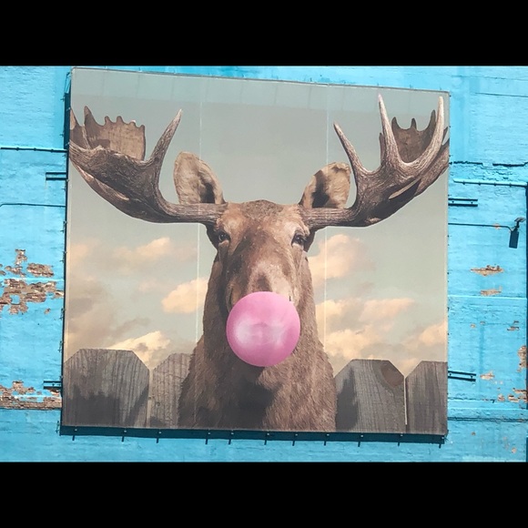 Meet your Posher, Vladimir - Picture 1 of 1